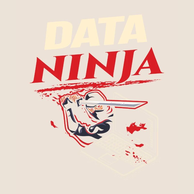 Data Ninja computer programming coder
