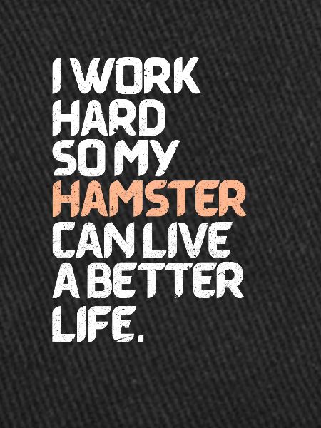 Hamster
