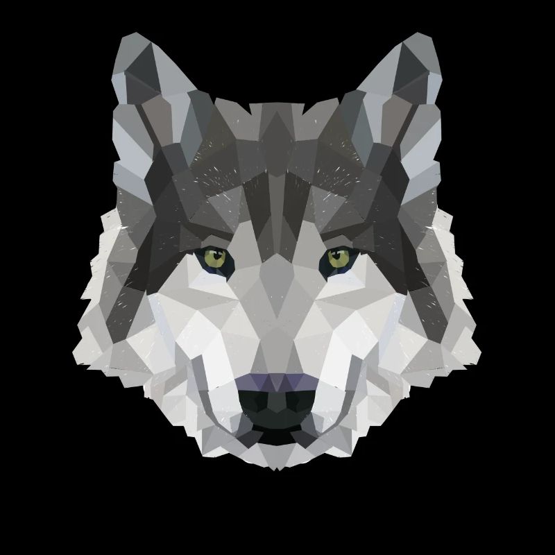LOUP POLYGONE Husky Wolves Wildlife America