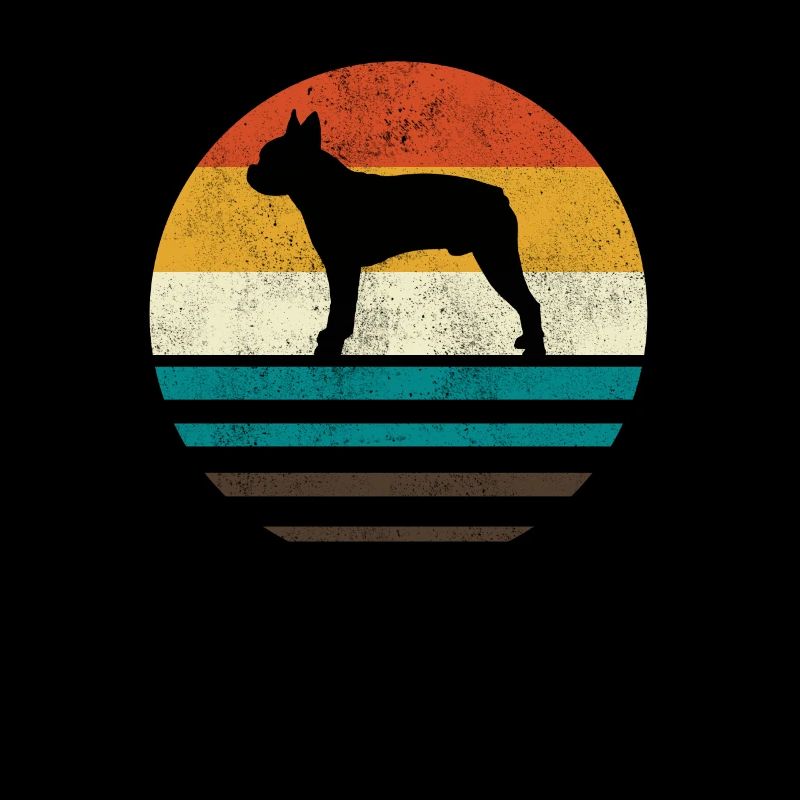 Boston Terrier
