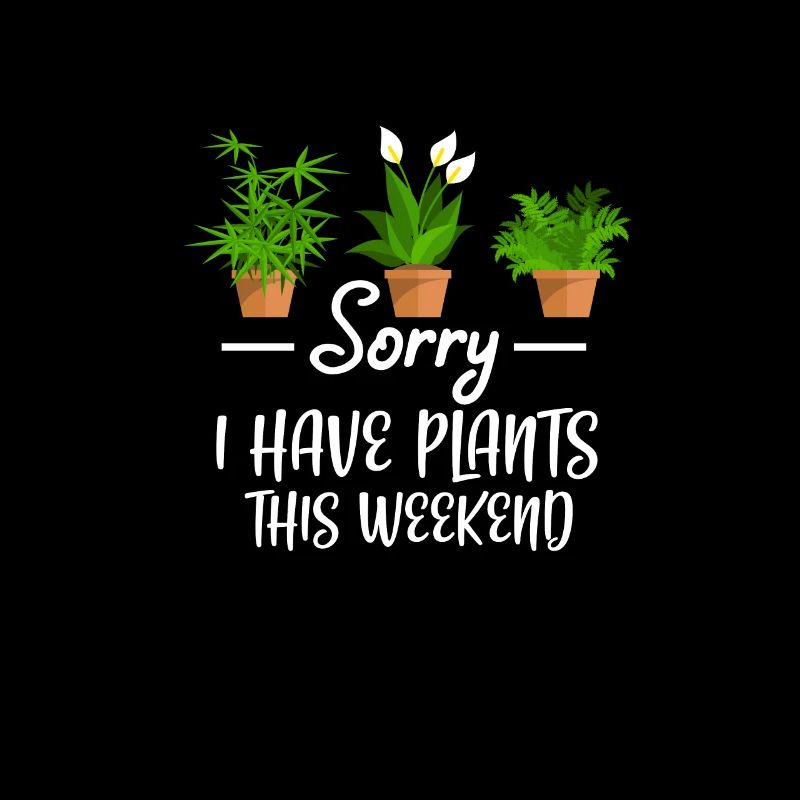 Plante