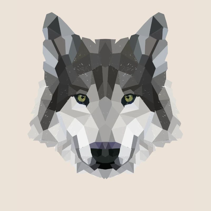 POLYGONE LOUPS LOUPS HUSKY PACK PACK CHIEN PACK PACK