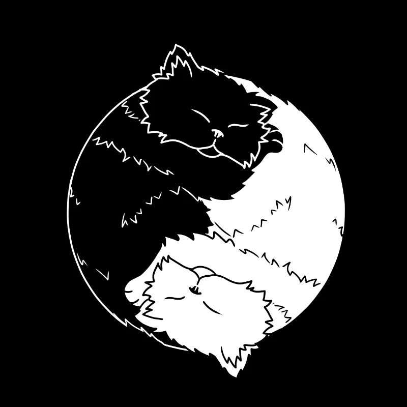 Katze Ying Yang Katezen Kätzchen