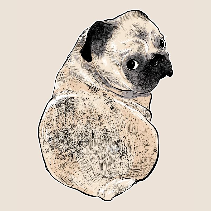 witziger Mops mit süßem Hundeblick