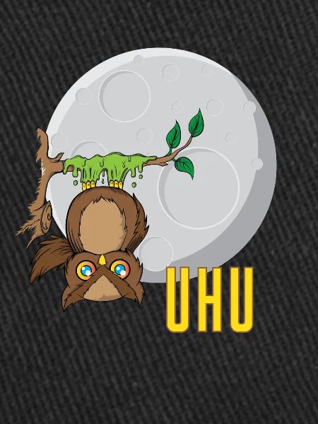 Hibou devant la lune