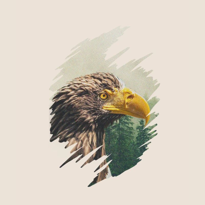 Eagle's Head