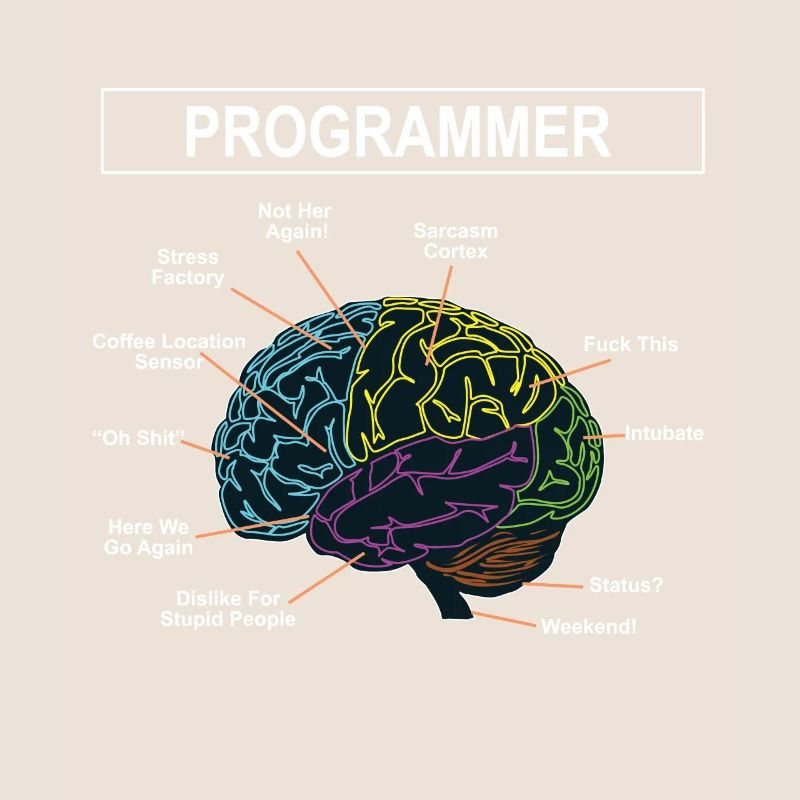 Programmeurs