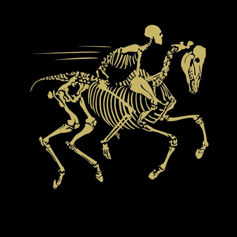 Un cheval à cheval