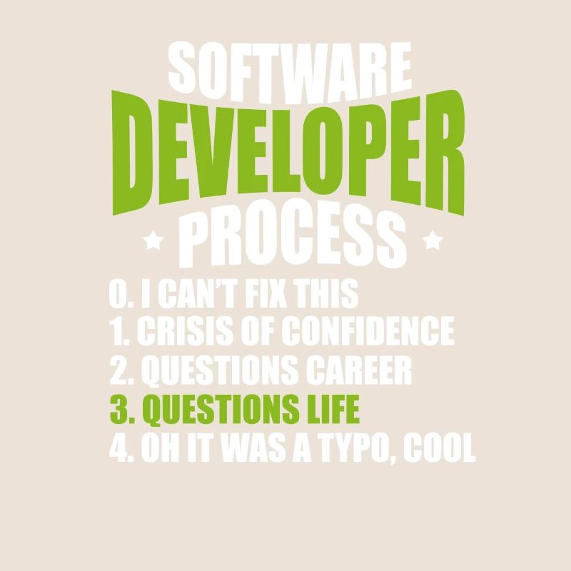 software developer