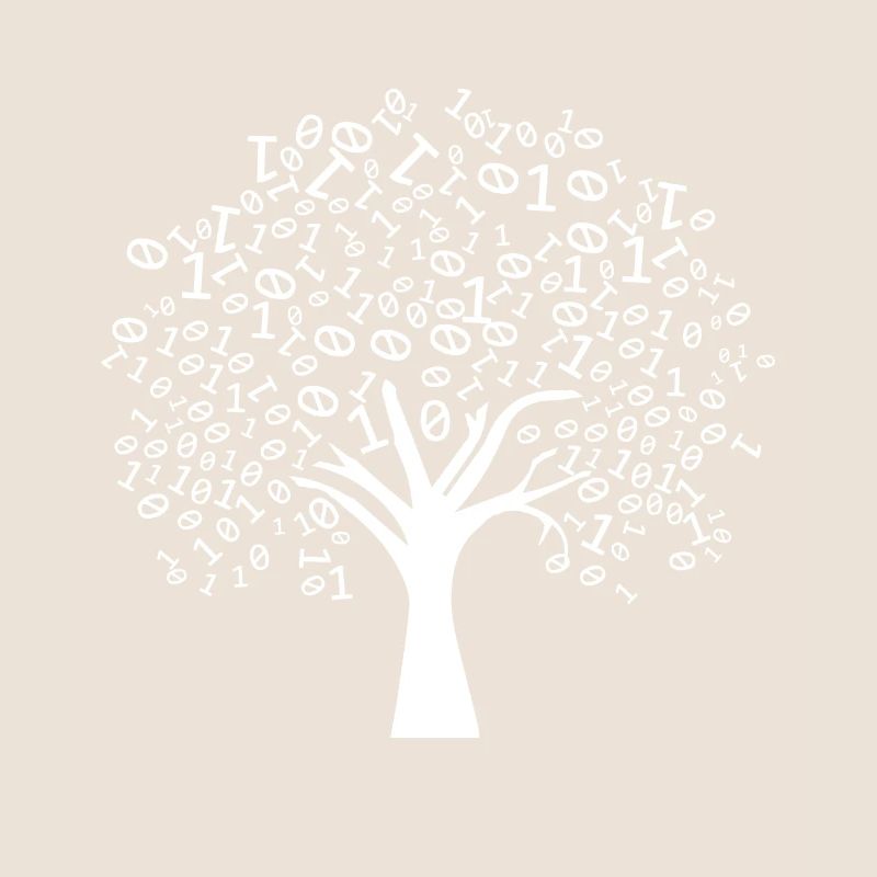 Programmierer Binärer Baum