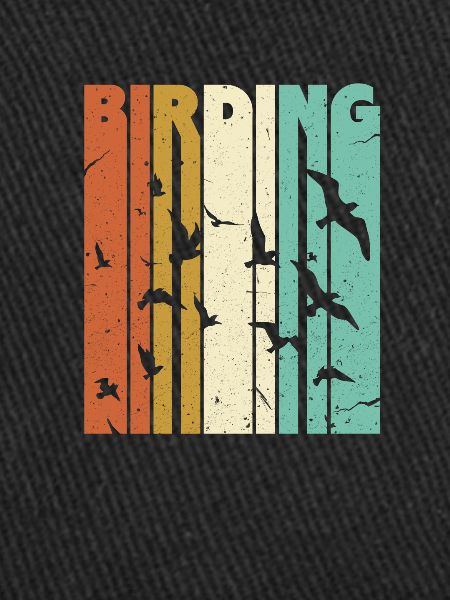 Birdwatching Birdwatcher Bird Birds