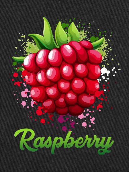 Raspberry costume