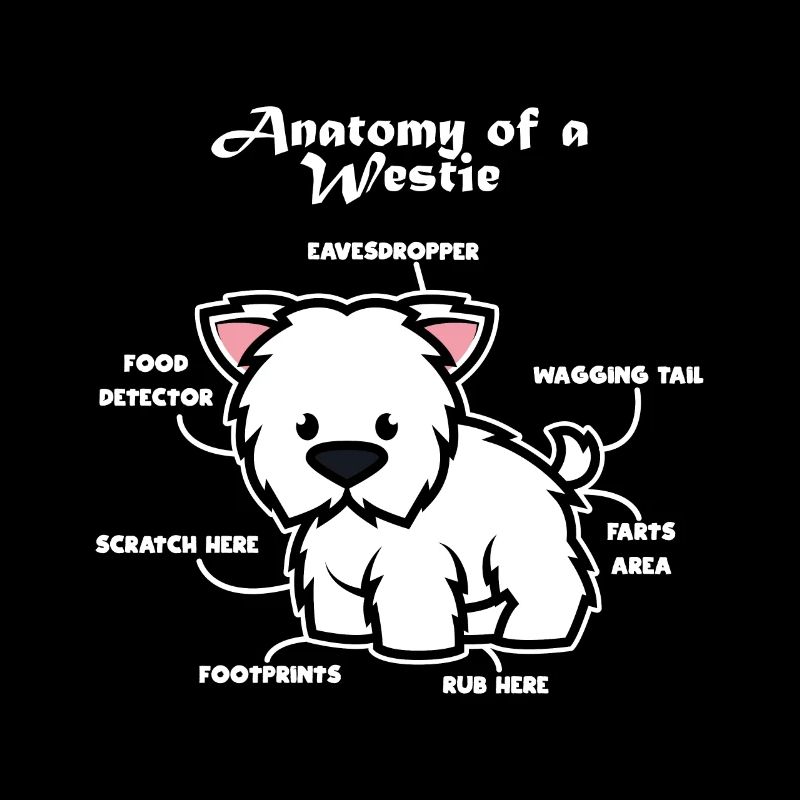 Anatomie d'un terrier blanc des Highlands de l'Ouest