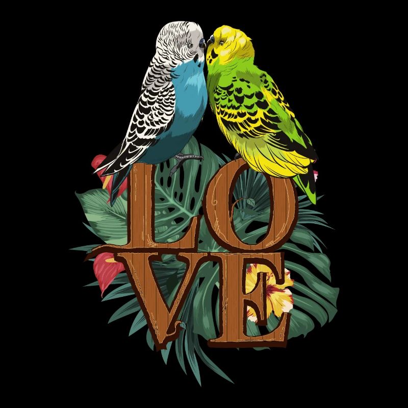 Perruche d'amour perruche