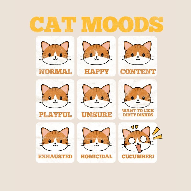 Cats Cat Cat Cat Lover Gift