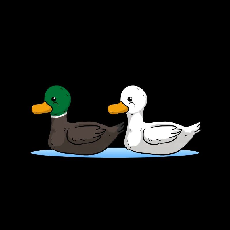 ducks