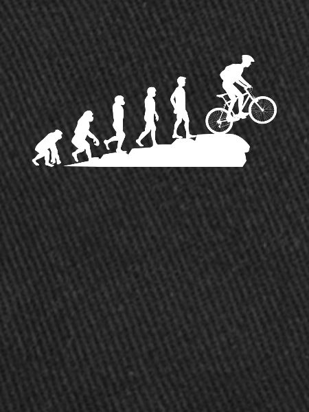 VTT Evolution