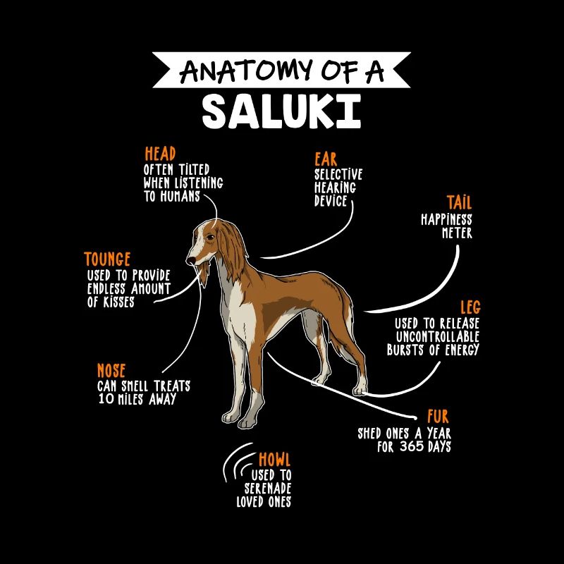 Saluki Anatomie Hunde Geschenk