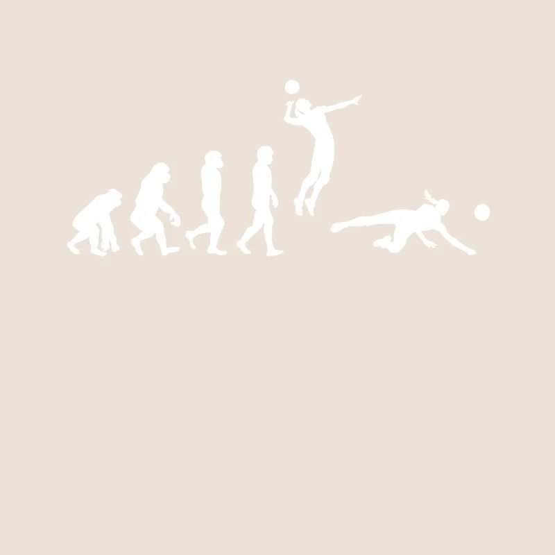 Volley-ball Evolution