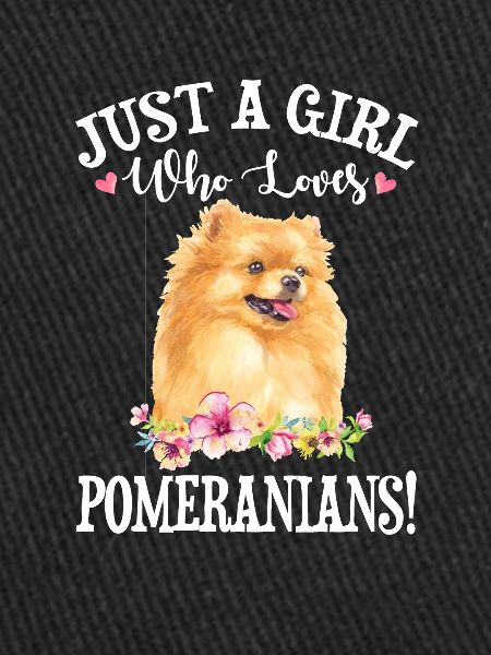 Pomeranian