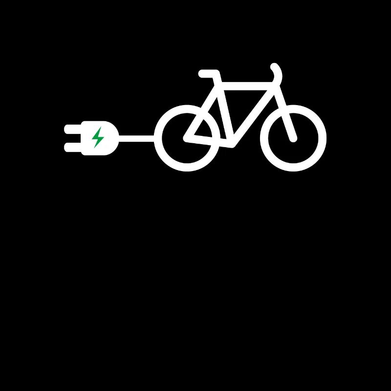 Ebike Akku Elektrofahrrad Pedelec Elektrorad