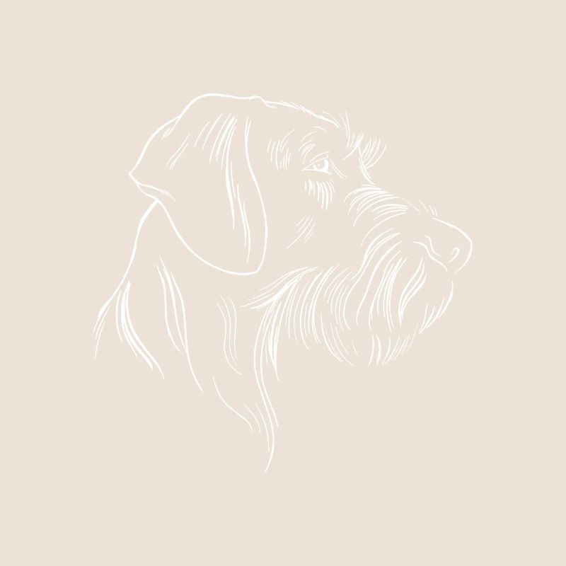 German wirehaired pointer dog head drawing