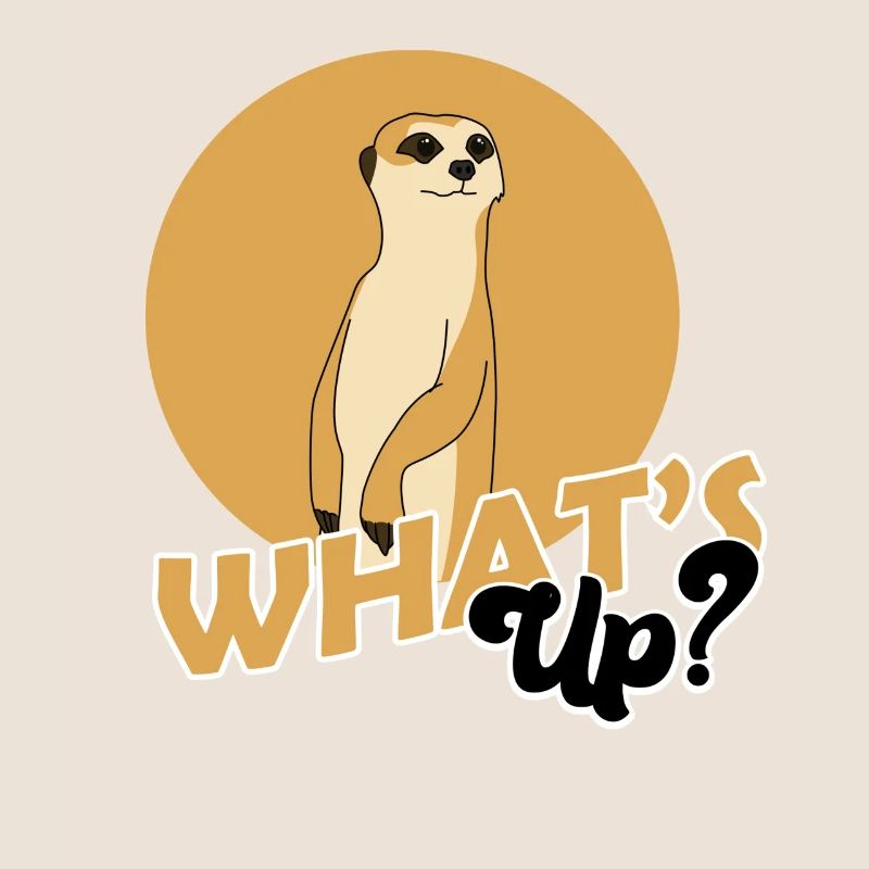 Erdmännchen, Erdmännchen süss, Erdmännchen Wache