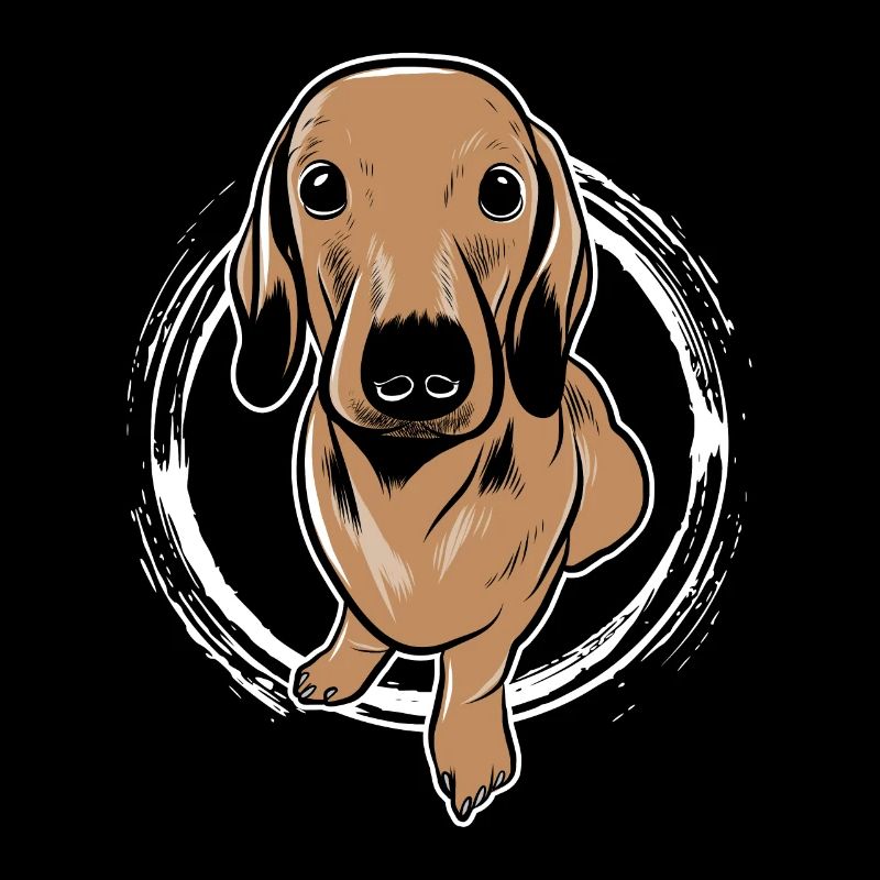 Teckel chien teckel