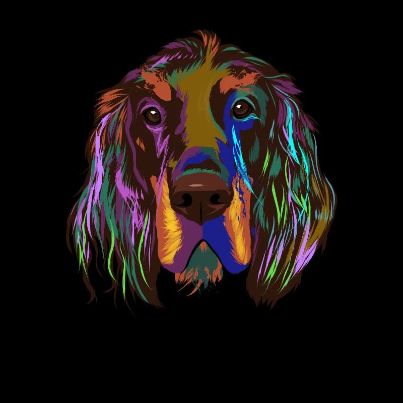 Splash Gordon setter Dog