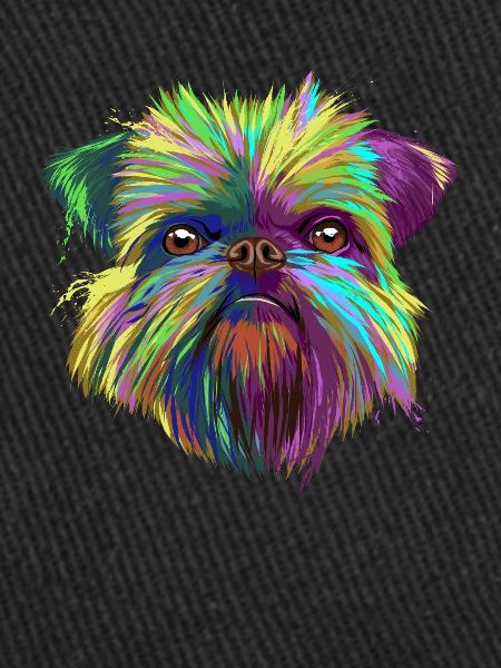 Brussels Griffon chien