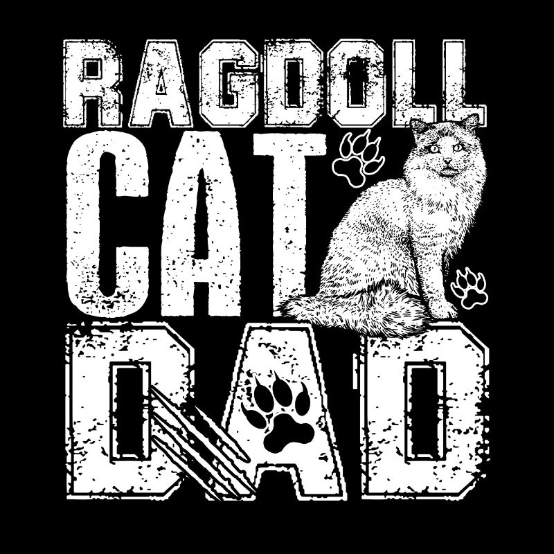 Chat Ragdoll Chat Ragdoll Papa