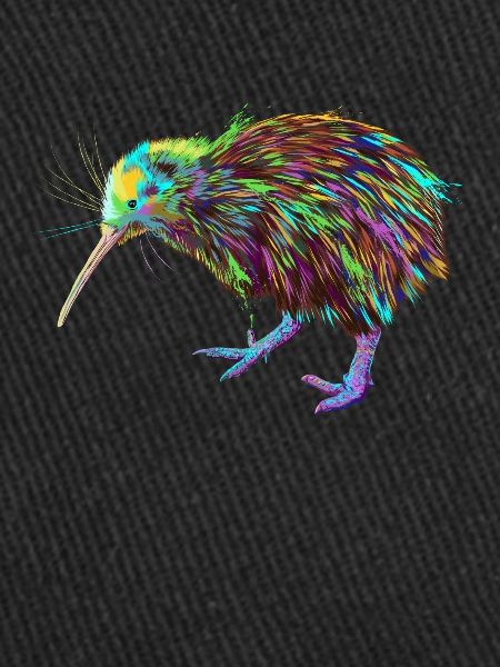 Splash Kiwi Vogel