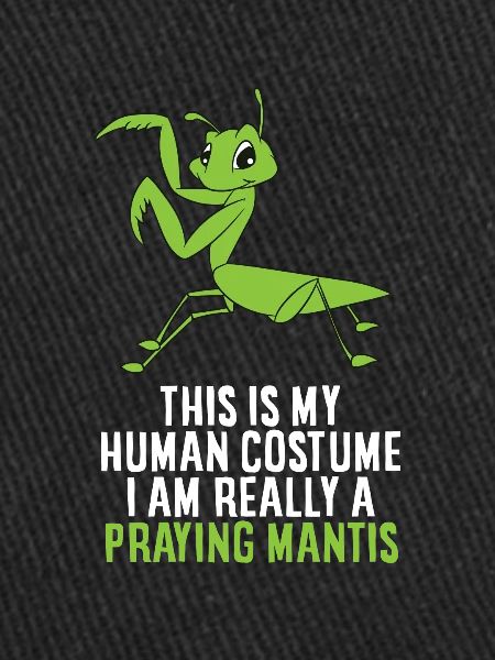 Praying Mantis Costume