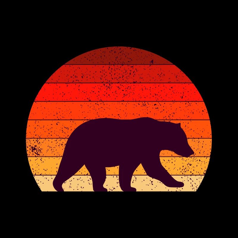 Eisbär Bär Bären Eisbären