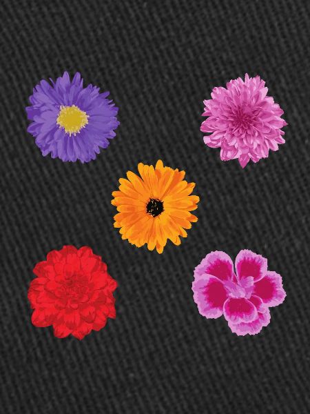 Ensemble de motifs de fleurs