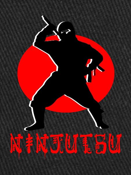 Ninjutsu Ninja