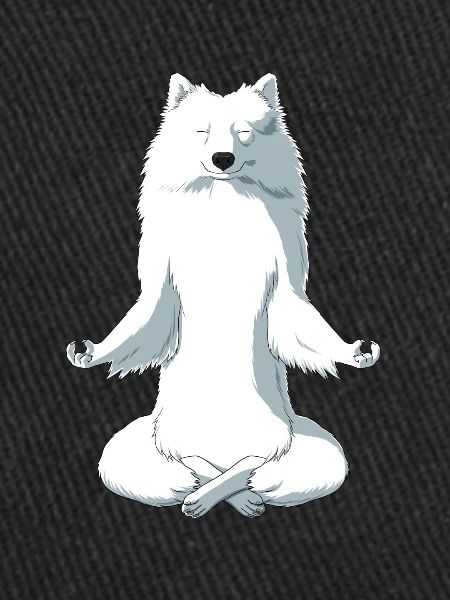 Méditant JaponSpitz chien