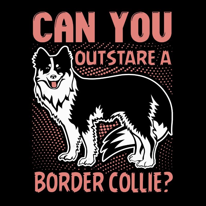 Pouvez-vous devancer un Border Collie