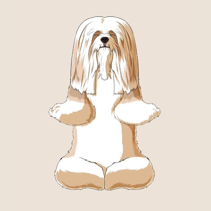 Meditating Lhasa Apso Dog