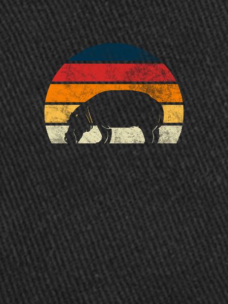 hippopotame