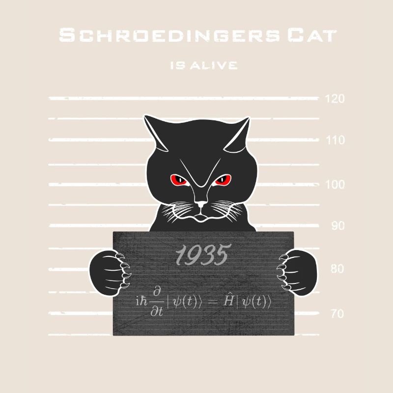 Le chat de Schrödinger vit/ Schrödinger Formule