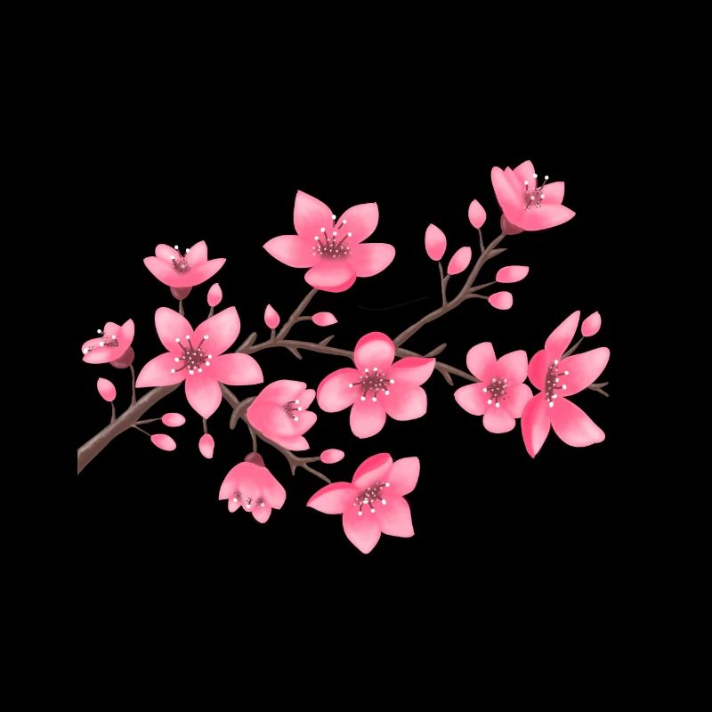Kirschblüten