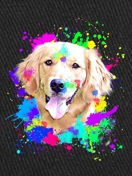 Chien Golden Retriever Splash Art
