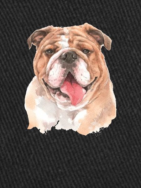 Bouledogue anglais