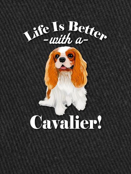 Cavalier King Charles Spaniel