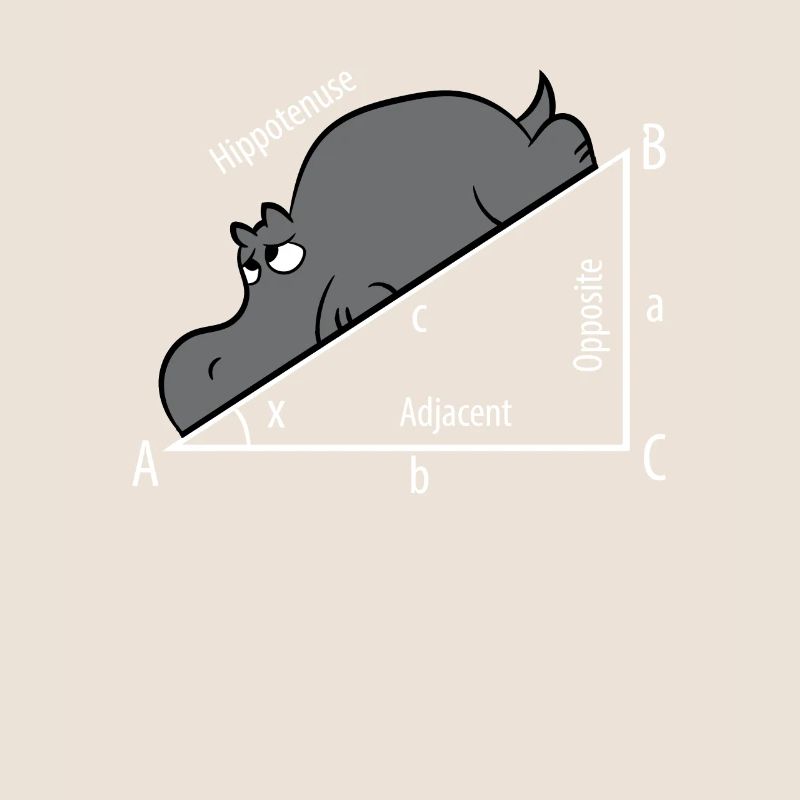 Mathe Pythagoras Hypothenuse Nilpferd Hippo