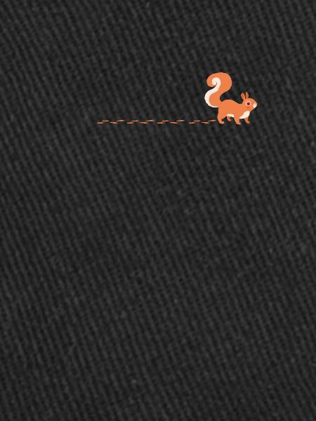 Squirrel track