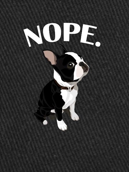 Boston Terrier