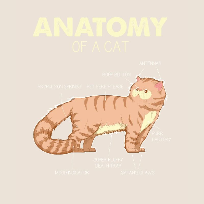 Anatomie de chat d'un chat - cadeaux de chat drôle