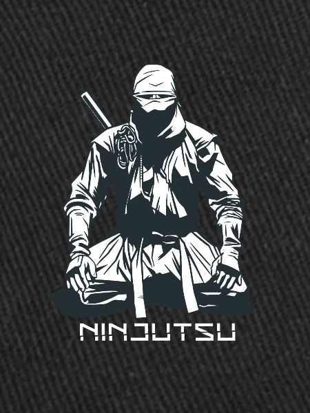 The martial art ninjutsu